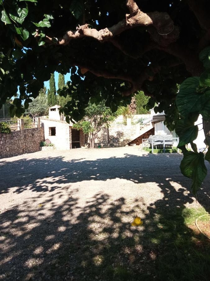 Las Palmeras Alberic Exterior foto