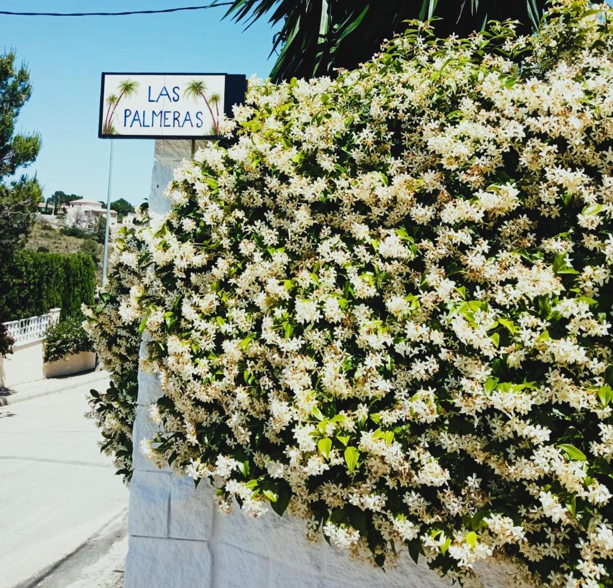 Las Palmeras Alberic Exterior foto