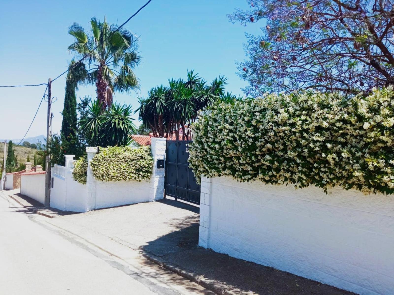 Las Palmeras Alberic Exterior foto